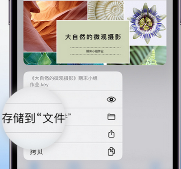 本溪apple维修中心分享iPhone文件应用中存储和找到下载文件