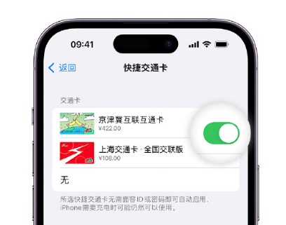 本溪apple维修点分享iPhone上更换Apple Pay快捷交通卡手绘卡面 