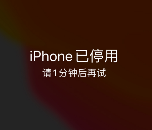 本溪苹果手机维修分享:iPhone 显示“不可用”或“已停用”怎么办？还能保留数据吗？ 