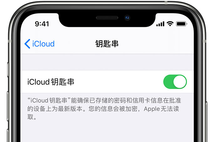 本溪苹果手机维修分享在 iPhone 上开启 iCloud 钥匙串之后会储存哪些信息 