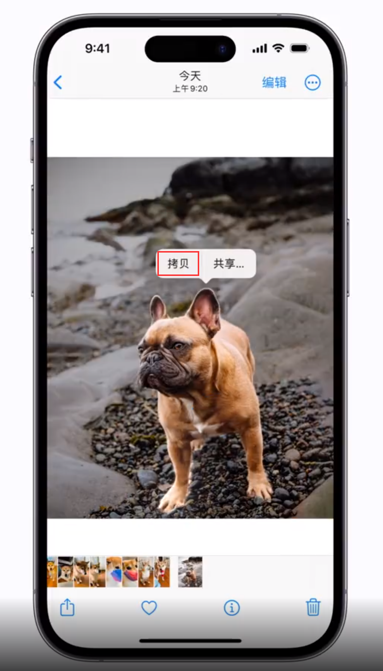 本溪苹果手机维修分享 iOS 16 自带一键抠图功能 