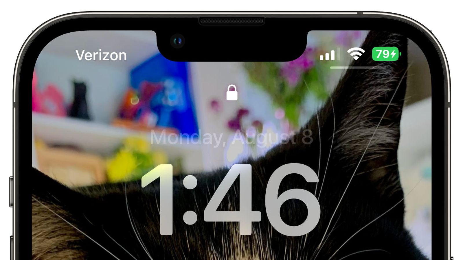 本溪苹果手机维修分享iOS 16 beta 5 支持状态栏显示电池百分比，如何开启？支持哪些机型 
