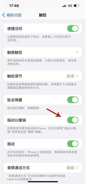 本溪苹果手机维修分享iPhone手机如何设置摇一摇删除文字 