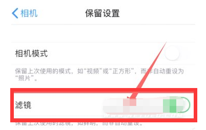 本溪苹果13维修分享iPhone13拍照有绿点是怎么回事 