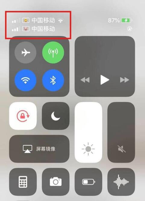 本溪苹果手机维修分享为 iPhone 12 双卡设置标签 