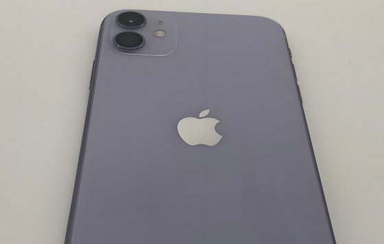 本溪苹果11系统维修分享iPhone11手机系统崩溃无法开机如何解决 